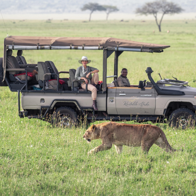 Tanzania One Night Free - Image 16