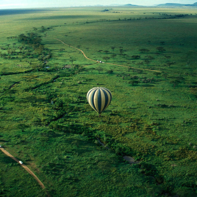 Tanzania One Night Free - Image 8