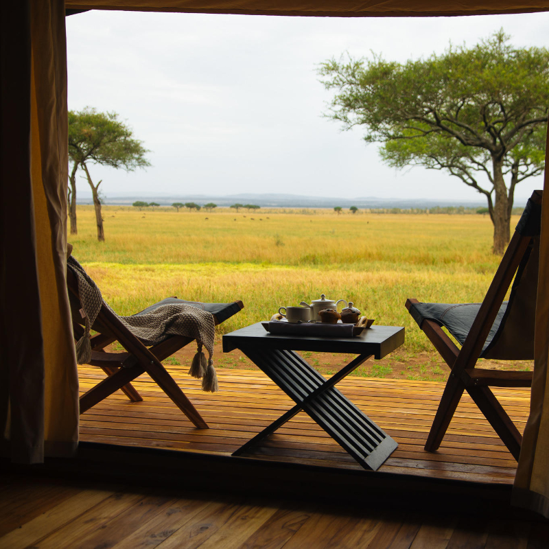 Tanzania One Night Free - Image 10