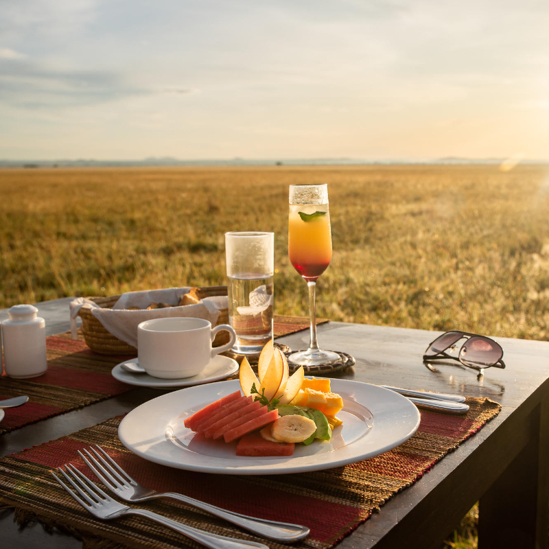 Tanzania One Night Free - Image 11