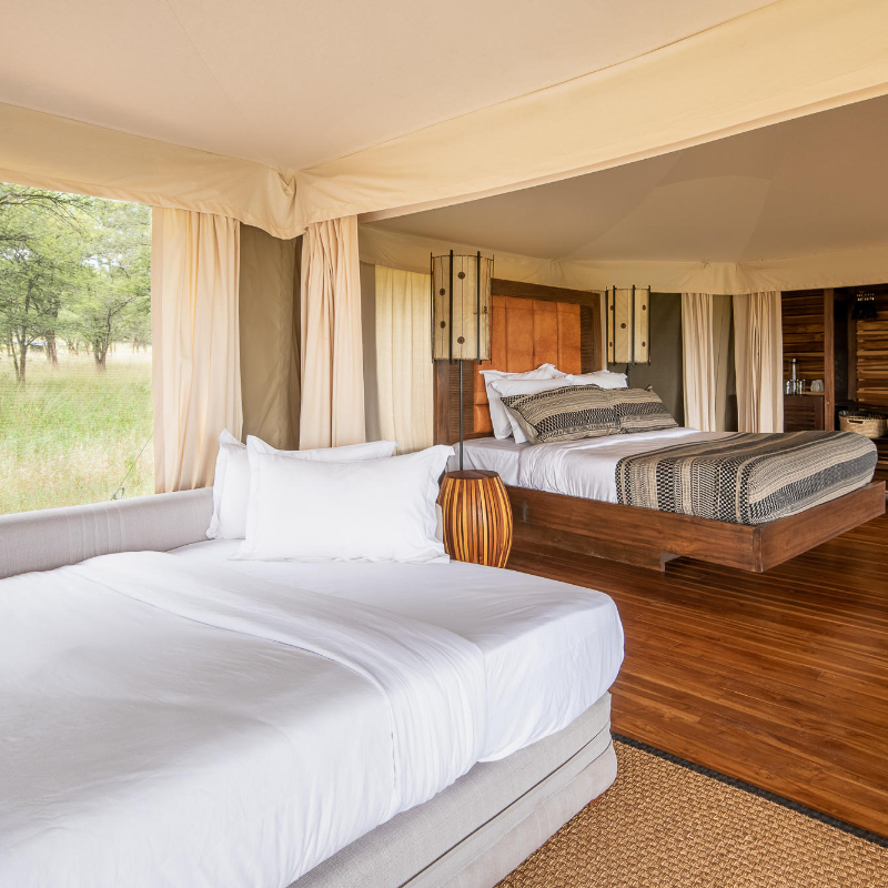 Tanzania One Night Free - Image 12