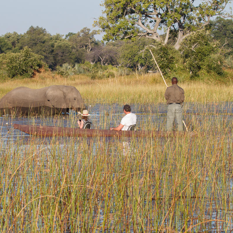 Belmond Safaris: Stay 6 Pay 5 - Image 6