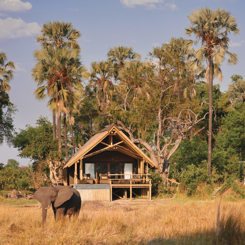 Belmond Safaris: Stay 6 Pay 5 - Image 3