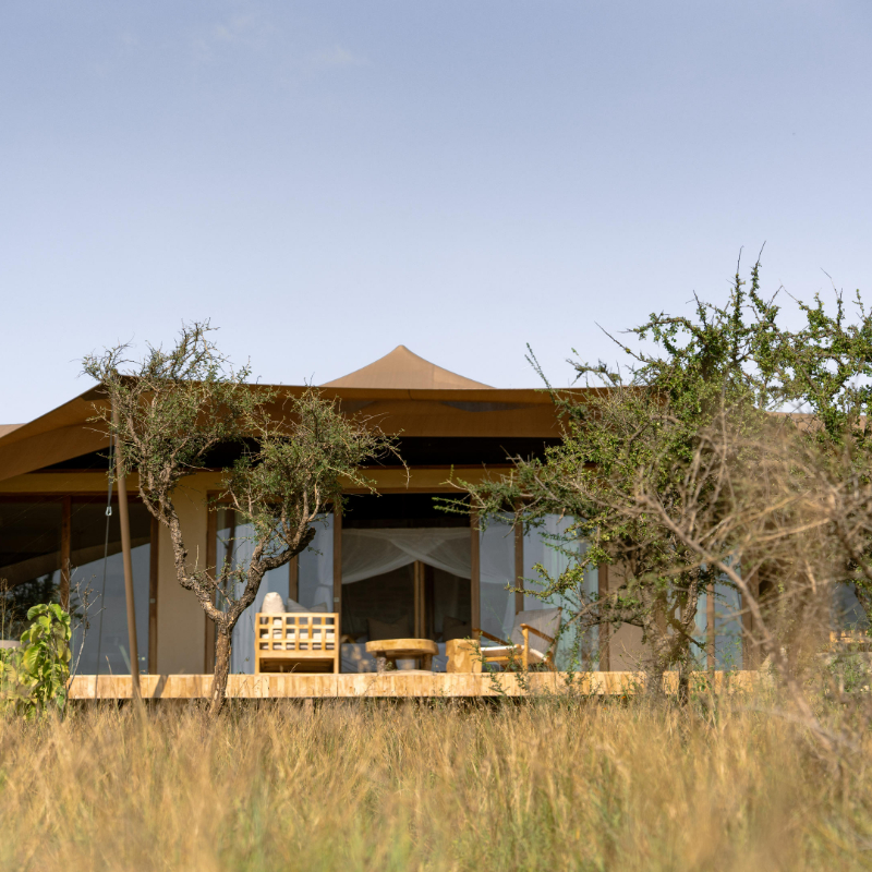 Tanzania One Night Free - Image 3