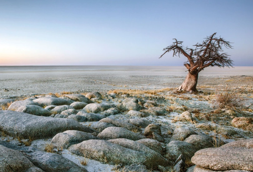 botswana-4