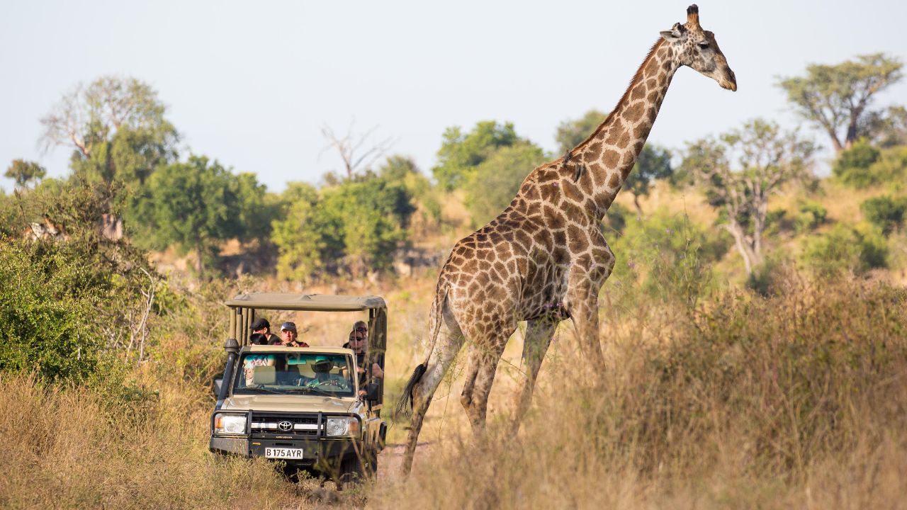 chobe-region-5