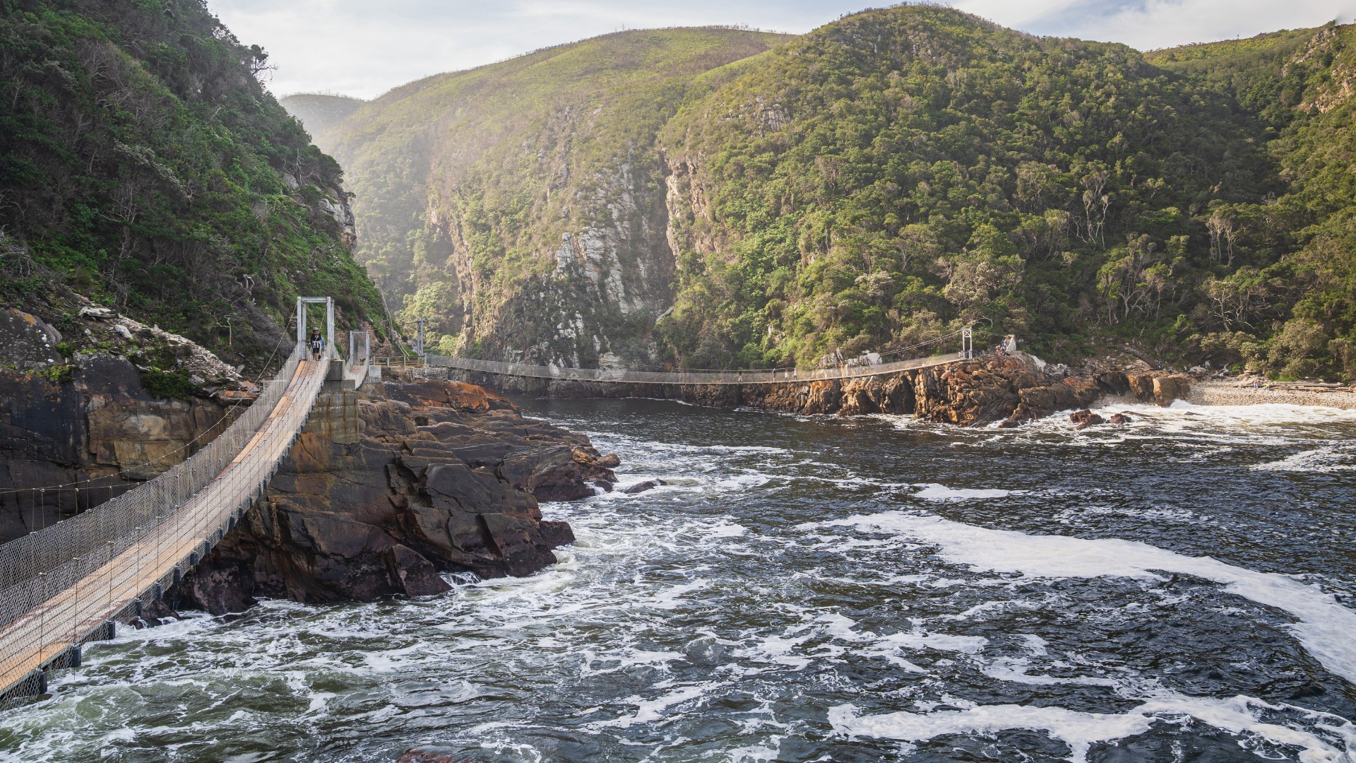 tsitsikamma-national-park-on-the-garden-route