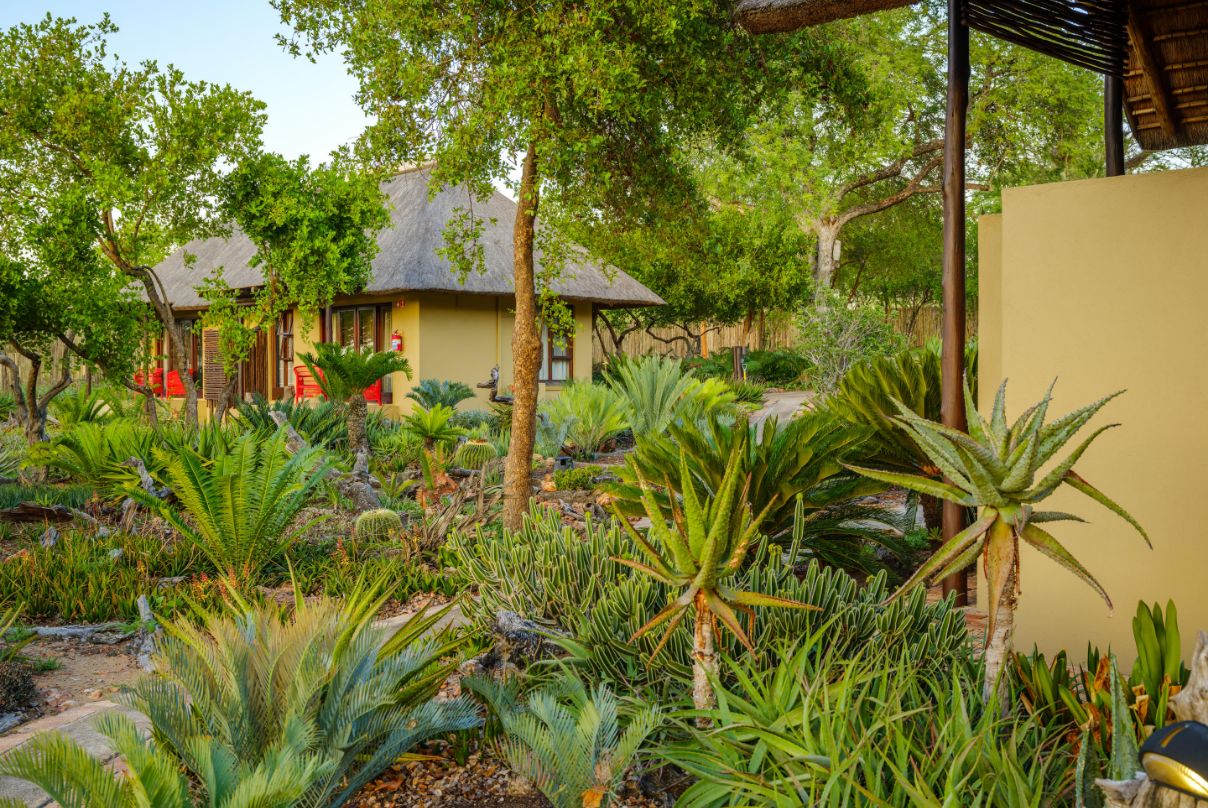 Jaci's Sabi House - Image 2