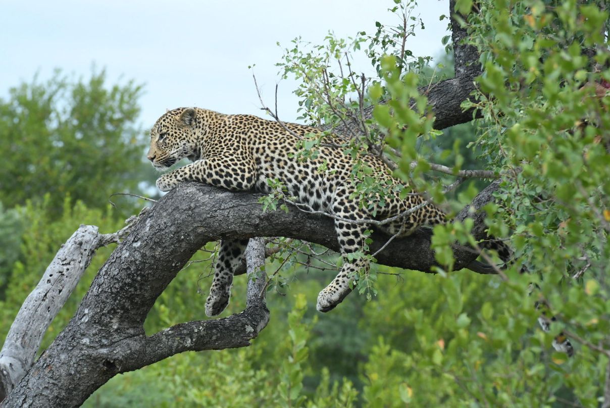 Jaci's Sabi House - Image 6