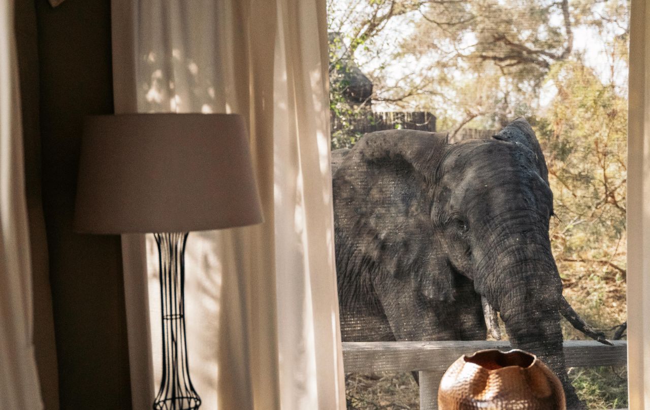 Simbavati River Lodge - Image 5