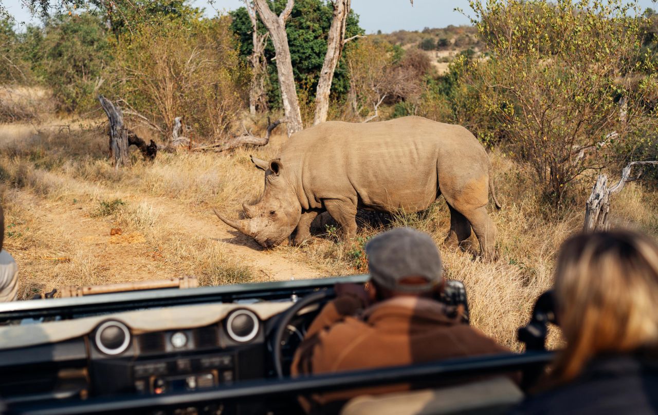 Simbavati River Lodge - Image 7