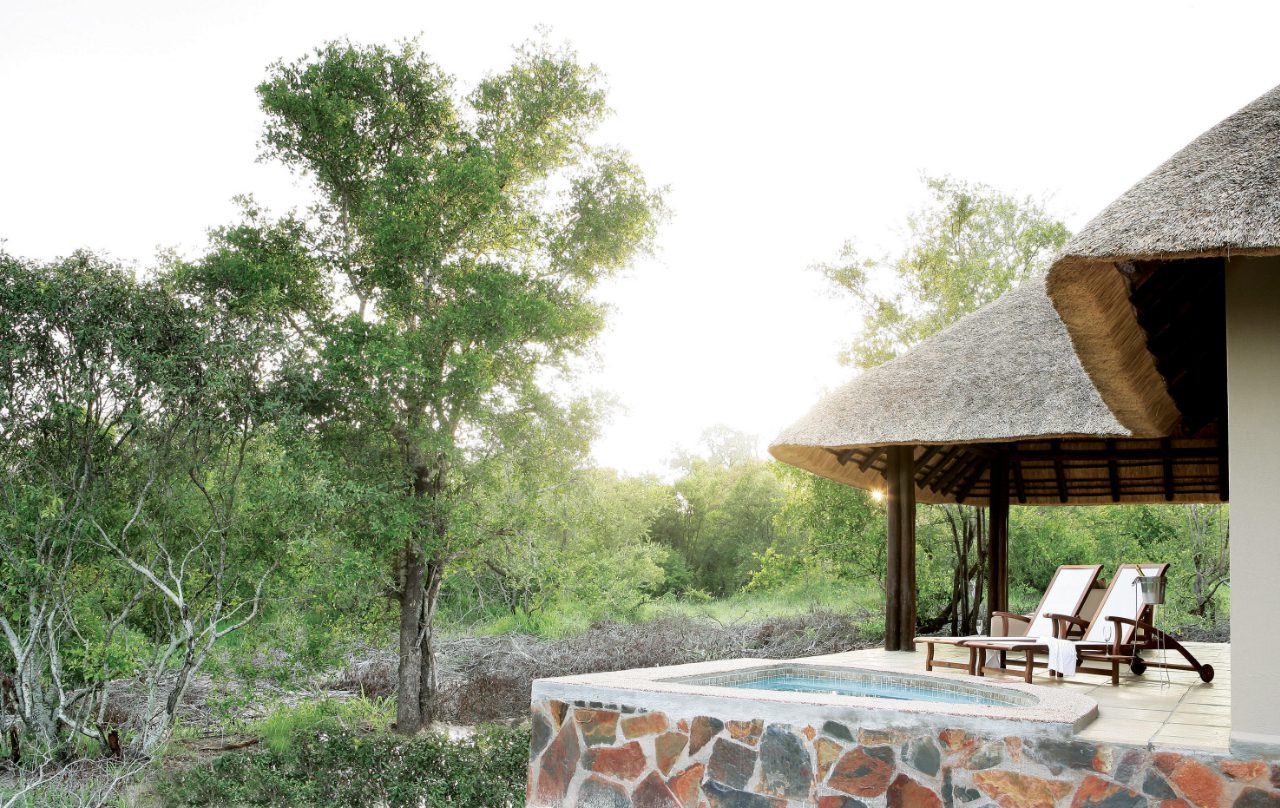 Arathusa Safari Lodge - Image 17