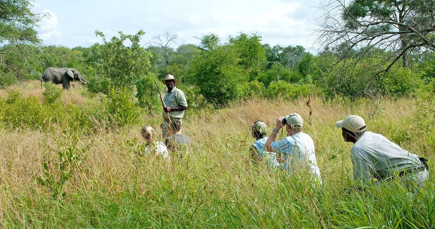 Notten’s Bush Camp - Image 10