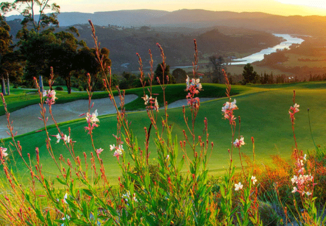 Simola-Golf-Estate