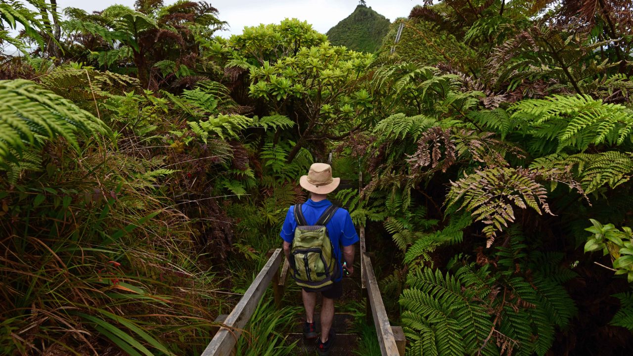 st-helena-2