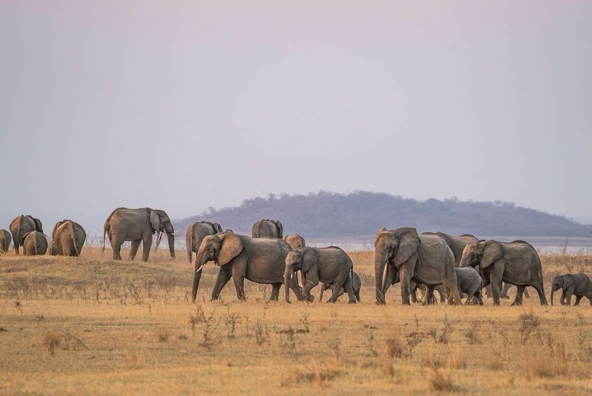 Kafue National Park (4)